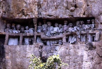 Toraja burial site