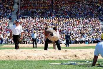Schwingen or the Alpine wrestling