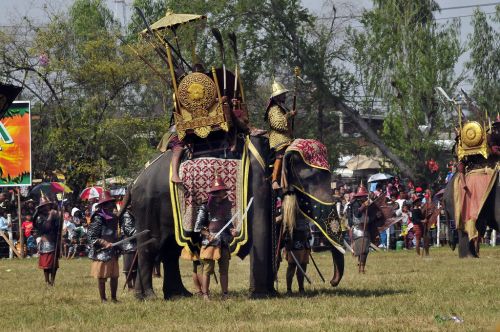 Surin Elephant Round-up