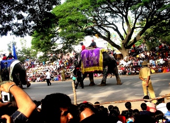 Mysuru (Mysore) procession