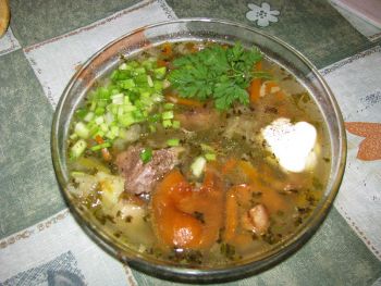 Shchi soup