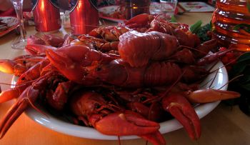 Crayfish served at the kräftskiva party