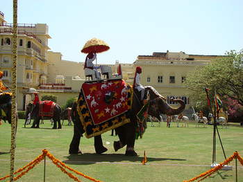 Elephant polo