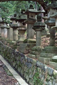 Ishi-doro in Kasuga Shrine, Nara