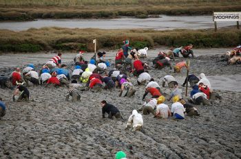 Maldon mud race