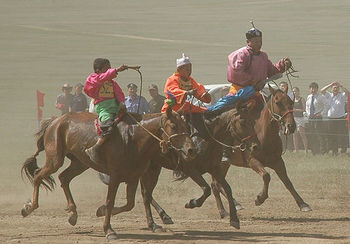 Naadam horse racing