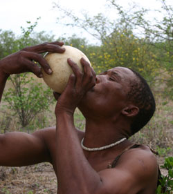 San man drinking (photo by DVL2)